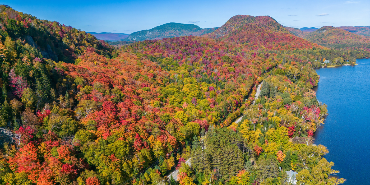 Luftaufnahme einer herbstlichen Berglandschaft mit dichtem Wald in leuchtenden Rot-, Orange- und Gelbtönen, sanften Hügeln und Bergen im Hintergrund, einer kurvenreichen Straße durch den Wald und einem blauen See am rechten Bildrand unter klarem Himmel.